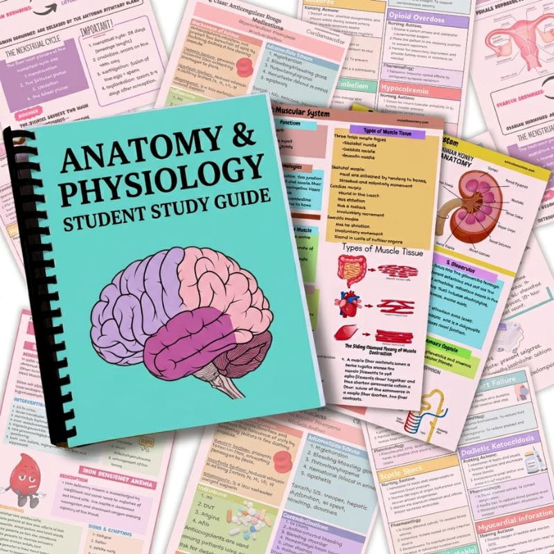 Anatomy and Physiology Student Study Guide-Studici